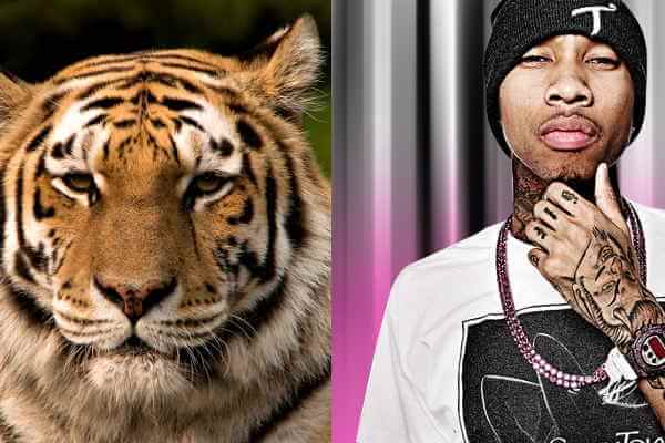 7 Selebriti ini punya peliharaan unik, dari harimau sampai walabi