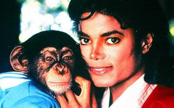 7 Selebriti ini punya peliharaan unik, dari harimau sampai walabi