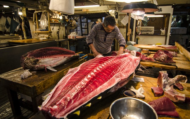 Tergusur, ini 7 fakta unik pasar ikan Tsukiji Jepang terbesar di dunia