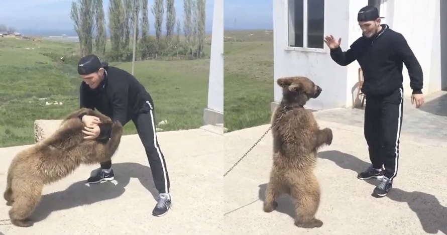 Aksi ngeri latihan Khabib, sejak kecil lawan tandingnya seekor beruang