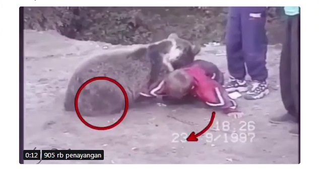 5 Fakta Abdulmanap, ayah Khabib yang membawa putranya jadi pemenang