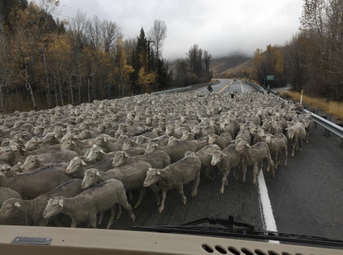 8 Potret penyebab kemacetan ini absurd abis, bikin geleng kepala