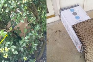 10 Cara kurir antarkan barang saat orang tidak di rumah ini bikin kzl