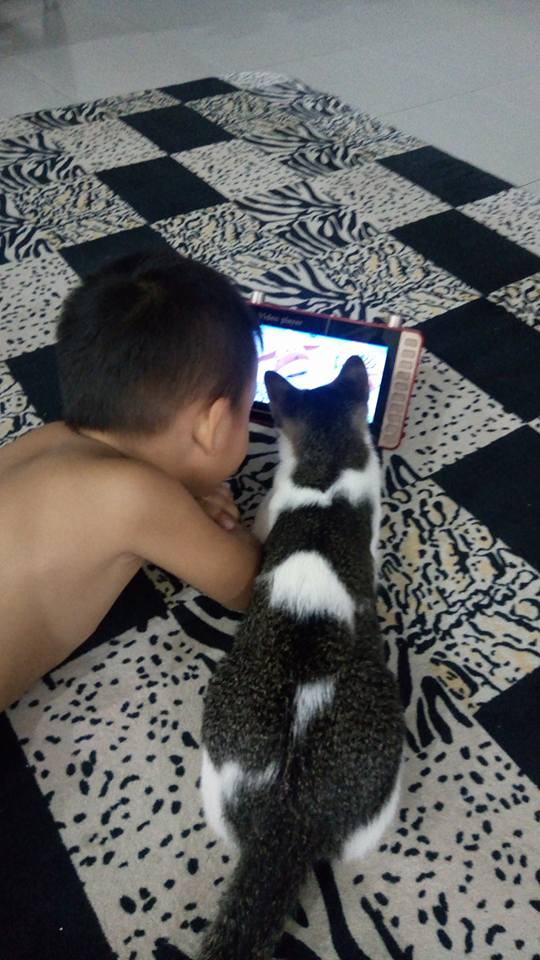 Bocah ini ajari kucing main gadget, endingnya bikin nyesek