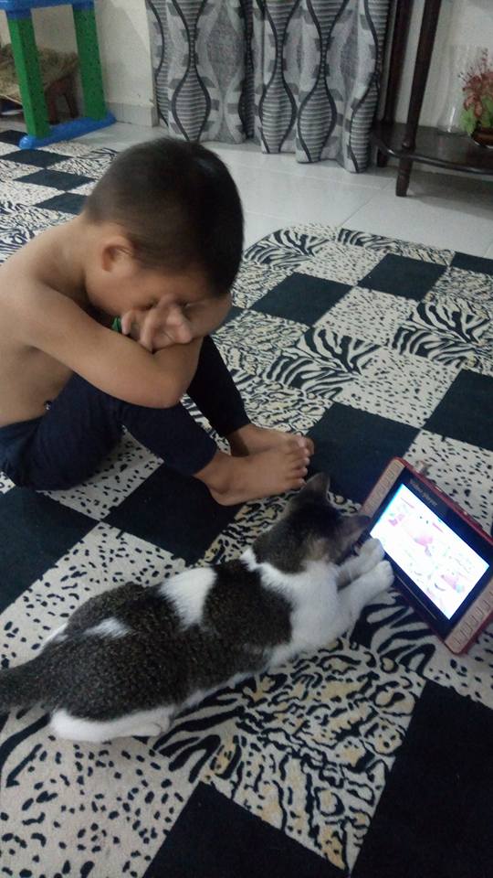 Bocah ini ajari kucing main gadget, endingnya bikin nyesek