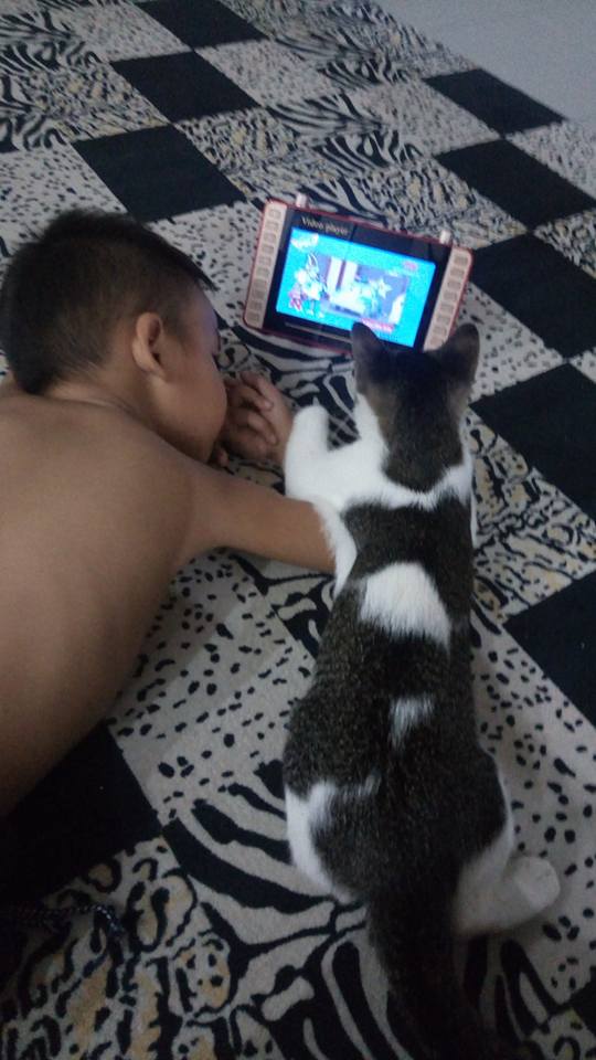 Bocah ini ajari kucing main gadget, endingnya bikin nyesek