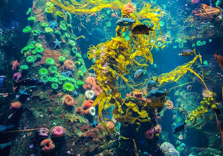 10 Bandara dunia ini fasilitasnya menakjubkan, jadi betah berlama-lama