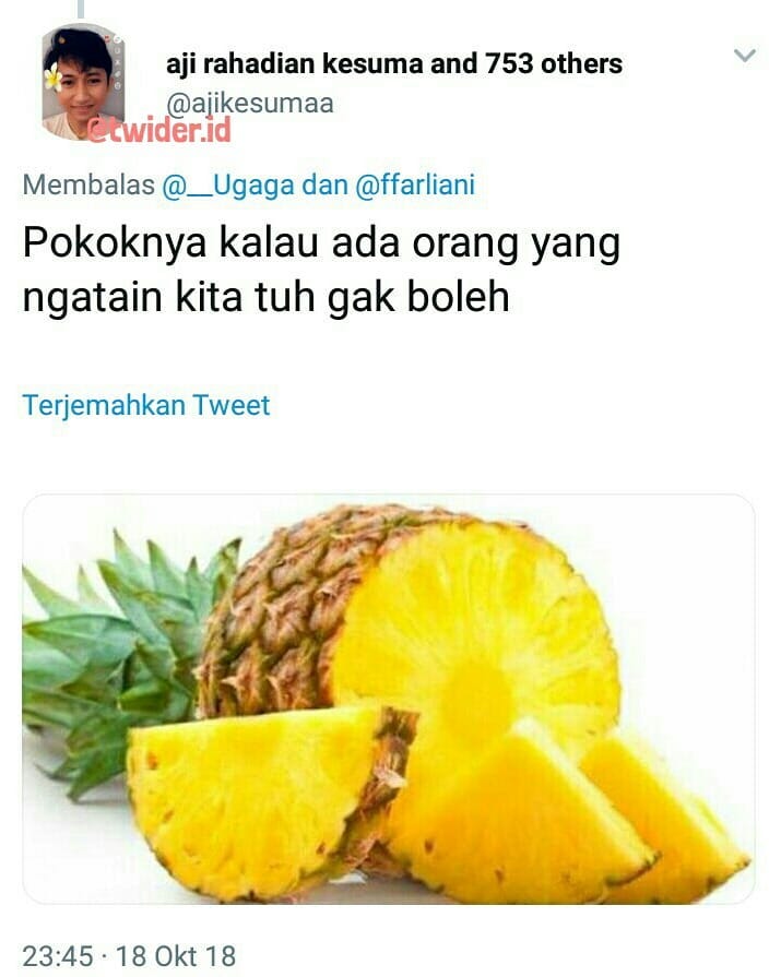 10 Cuitan bergambar ini recehnya bikin ngakak tapi mikir dulu