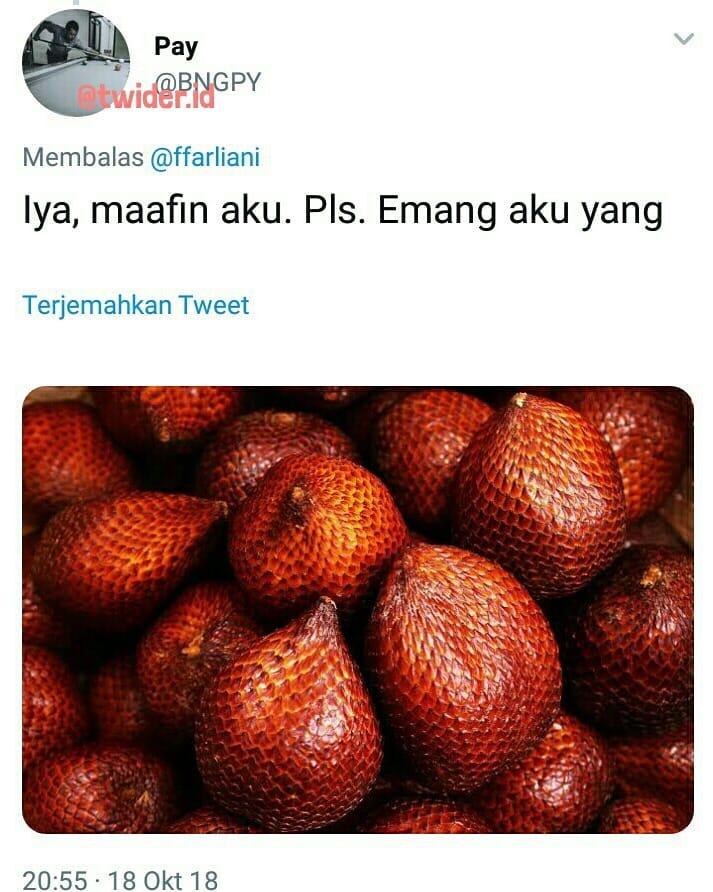 10 Cuitan bergambar ini recehnya bikin ngakak tapi mikir dulu