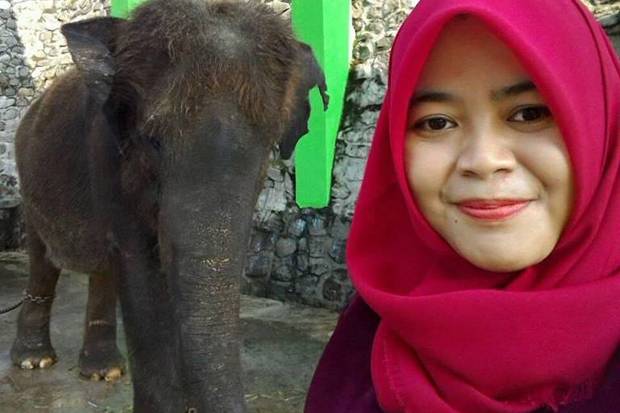 5 Tragedi di kebun binatang di Indonesia, memakan korban jiwa