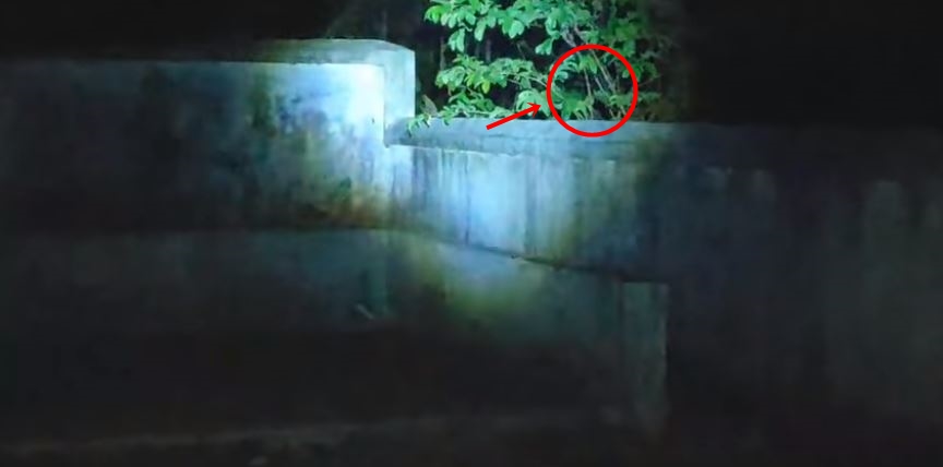 Aksi uji nyali pria ini direkam live, 6 penampakan ini bikin merinding