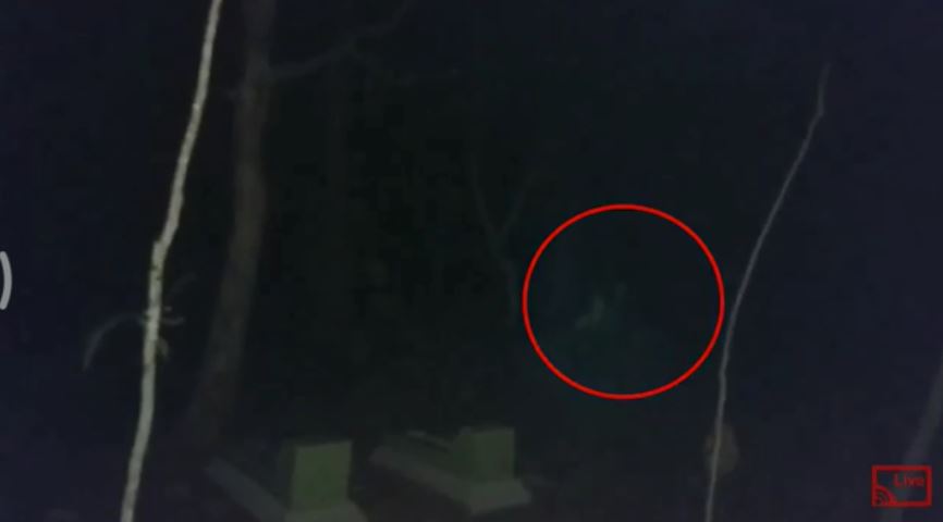 Aksi uji nyali pria ini direkam live, 6 penampakan ini bikin merinding