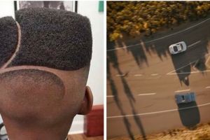 10 Model potongan rambut nyeleneh ini kocak abis, bikin gagal paham