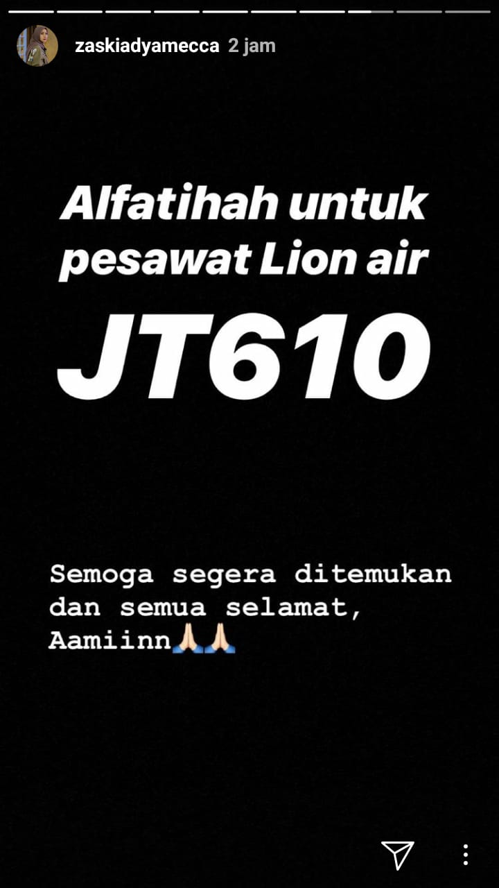 Lion Air JT 610 jatuh, ini ucapan duka 10 seleb Indonesia