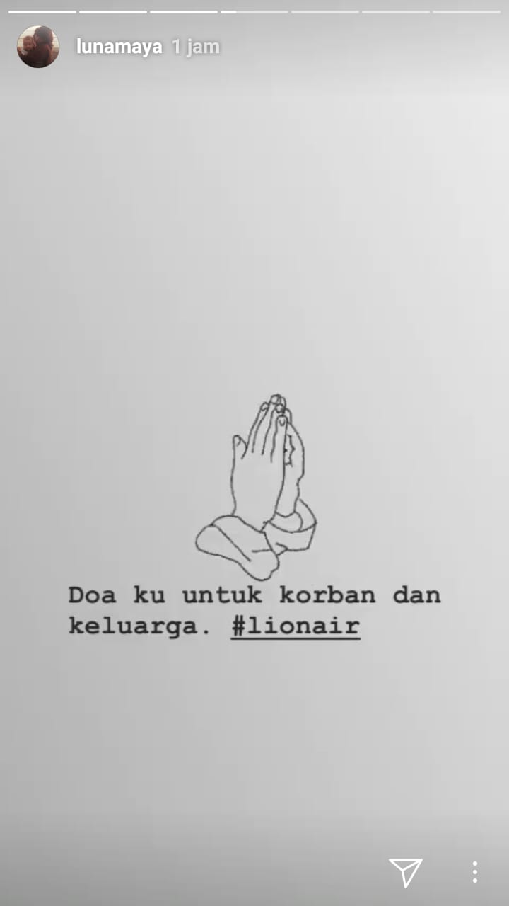 Lion Air JT 610 jatuh, ini ucapan duka 10 seleb Indonesia