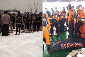 Hari kedua pencarian Lion Air JT 610, ini 11 potret hasil temuannya