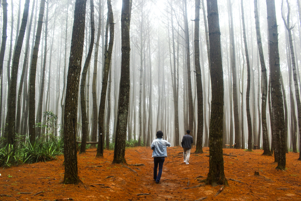 6 Ide nikmati weekend di Jogja, lepas penat dari kesibukan kerja