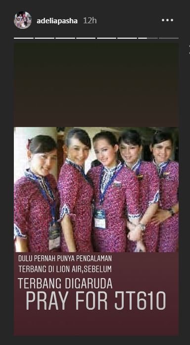 Ini potret nostalgia Adelia saat jadi pramugari Lion Air, memesona