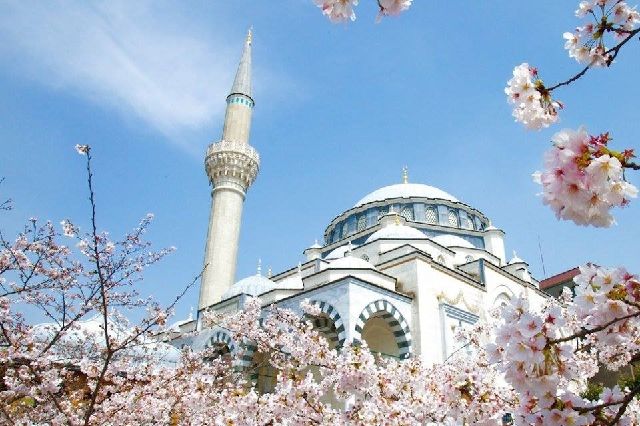 7 Fakta Masjid Camii Tokyo, tempat ijab kabul Maia Estianty