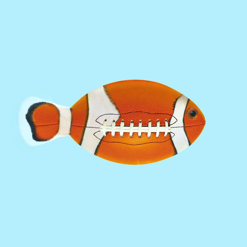 15 Foto editan perpaduan hewan dan benda ini kreatif abis