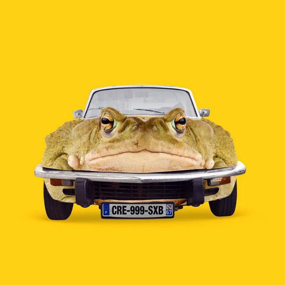 15 Foto editan perpaduan hewan dan benda ini kreatif abis