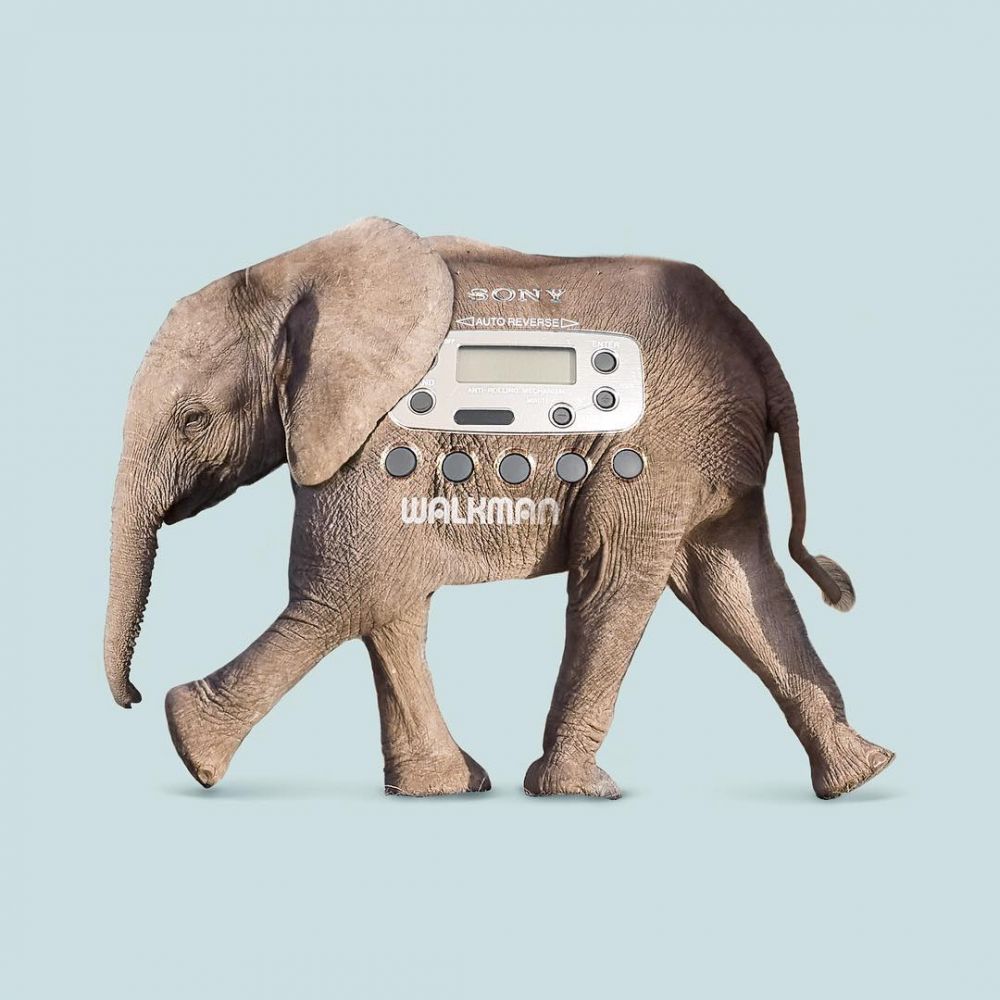 15 Foto editan perpaduan hewan dan benda ini kreatif abis