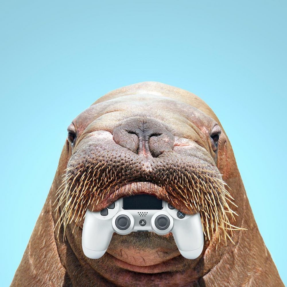 15 Foto editan perpaduan hewan dan benda ini kreatif abis