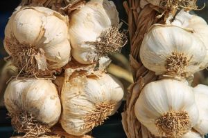 20 Manfaat bawang putih bagi kesehatan, bisa cegah kanker