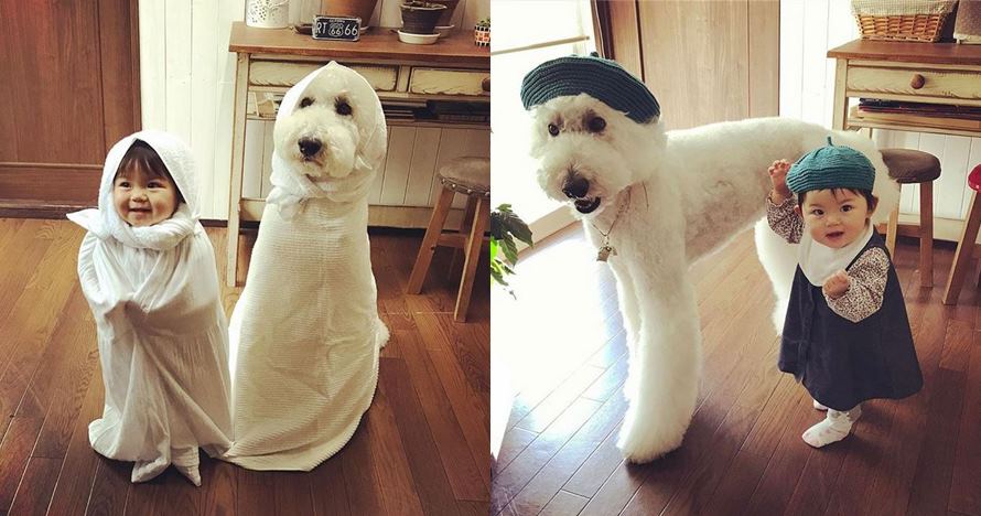 10 Tingkah lucu bocah dan anjingnya ini bikin gemes