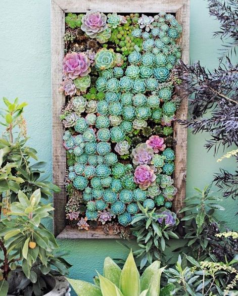 30 Inspirasi kaktus & sukulen hias terunik untuk percantik rumah