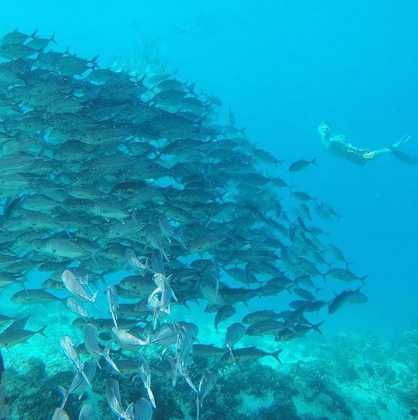 40 Tempat wisata Raja Ampat paling hits dan kekinian