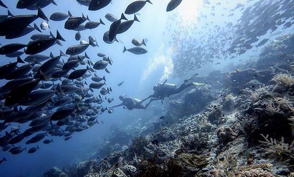 40 Tempat wisata Raja Ampat paling hits dan kekinian