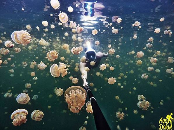 40 Tempat wisata Raja Ampat paling hits dan kekinian