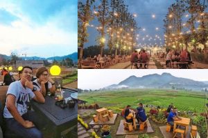 40 Restoran dan kafe di Malang paling hits dan kekinian