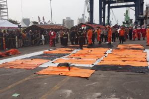 Daftar 44 korban Lion Air JT 610 yang berhasil diidentifikasi