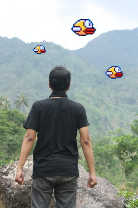 Cowok ini minta fotonya ditambahin burung, 10 hasilnya kocak