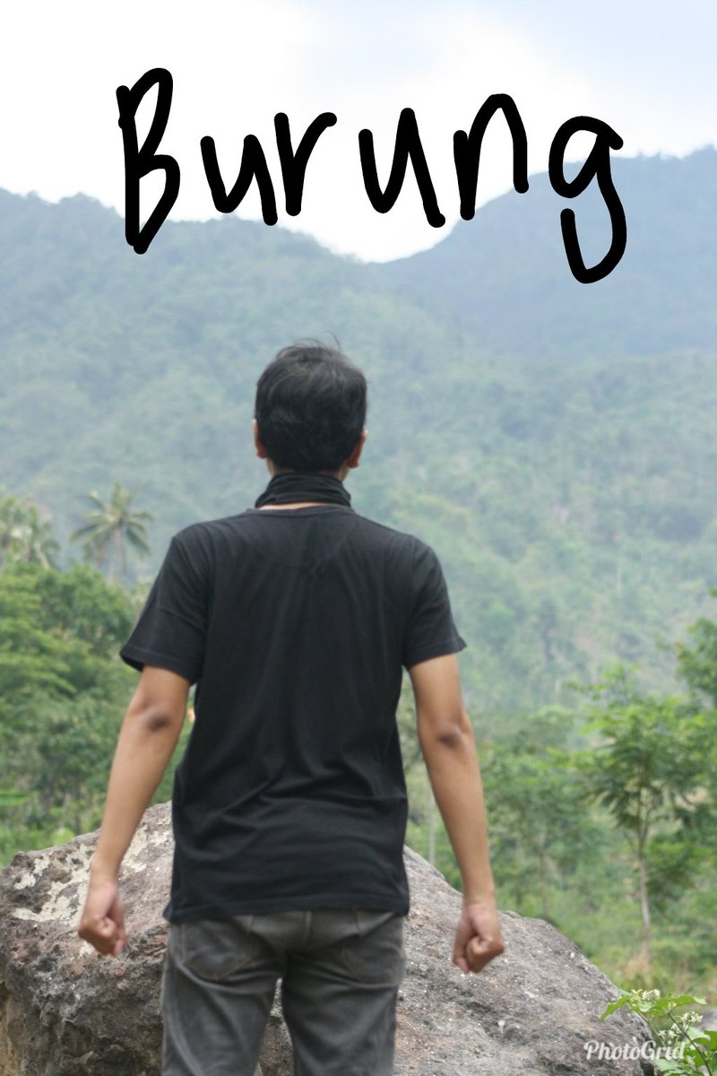 Cowok ini minta fotonya ditambahin burung, 10 hasilnya kocak