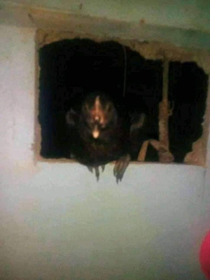 Penampakan seram di kamar mandi ini endingnya nggak terduga