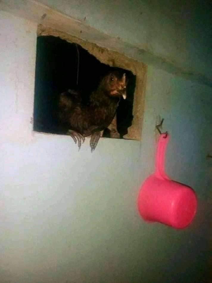 Penampakan seram di kamar mandi ini endingnya nggak terduga