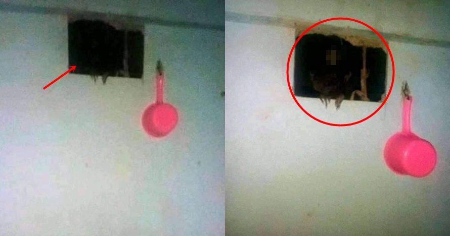 Penampakan seram di kamar mandi ini endingnya nggak terduga