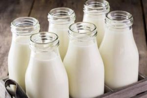 Angka konsumsi susu di Indonesia, kalah dari negara ASEAN lain