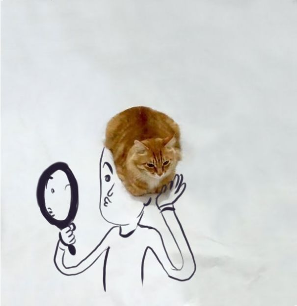 15 Foto lucu kreasi gambar dari kucing duduk ini hasilnya kocak