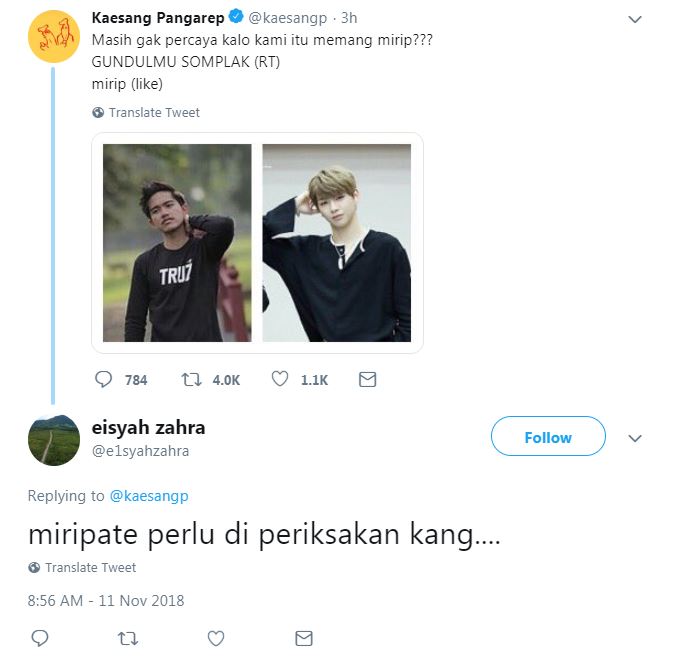 Ngaku mirip member Wanna One, ini 15 kritik 'pedas' buat Kaesang