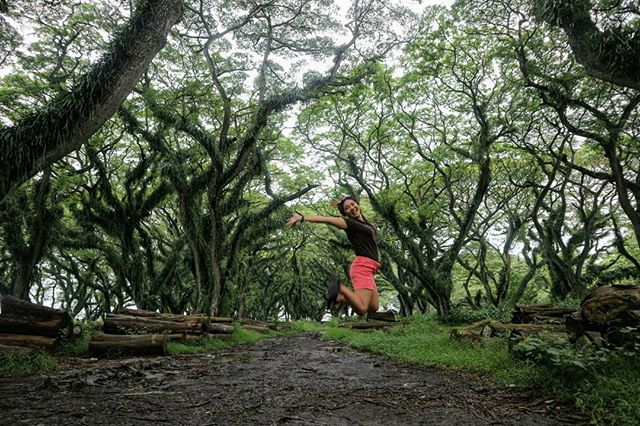 45 Tempat wisata di Banyuwangi terbaru 2018