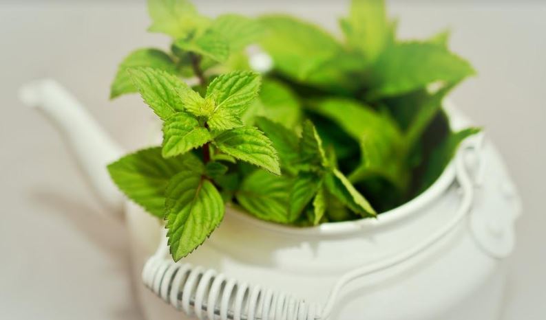 30 Cara menghilangkan komedo paling ampuh dan simpel