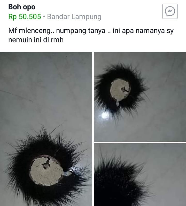 15 Status lucu akibat salah beli di online shop ini bikin ngakak