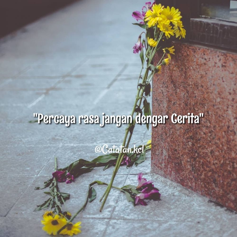 111 Caption bijak bergambar yang keren untuk feed Instagram