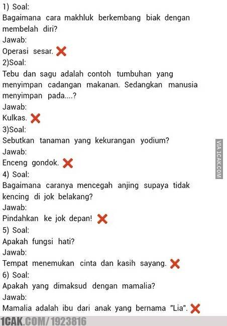 30 Soal tes sekolah ini absurdnya bikin mikir keras