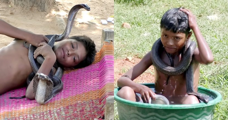 10 Potret bocah 7 tahun dengan ular berbisa, sering mandi bareng