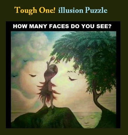 Coba tebak ada berapa makhluk hidup di 5 gambar ini?